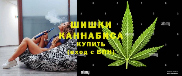 apvp Белокуриха