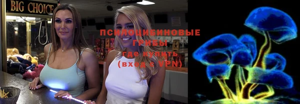 стаф Белоозёрский