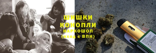 apvp Белокуриха